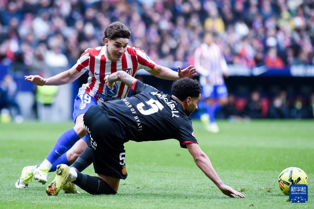 概率如何提升稳定性（借助概率提升稳定性的策略）